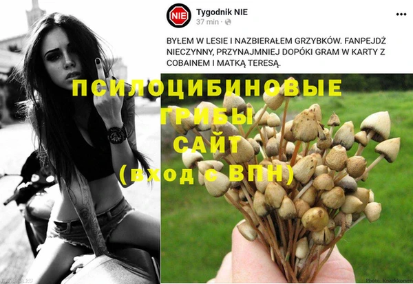 СК Аркадак