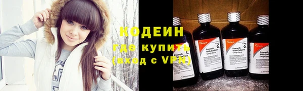 соль ск Арсеньев
