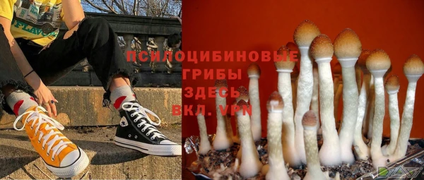 СК Аркадак