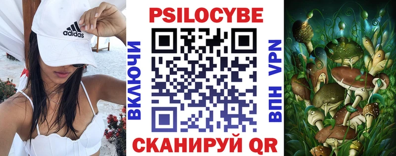 Псилоцибиновые грибы ЛСД  дарнет шоп  Зерноград 